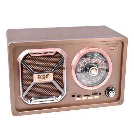 RADIO MULTIBANDA WOOU-RA2313