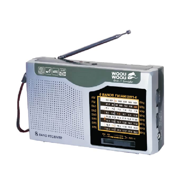 RADIO MULTIBANDA SS-RA80