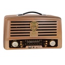 RADIO MULTIBANDA WOOU-RA1952